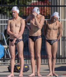 Speedo & bulges 5bbae30adfc75.png