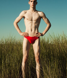 Speedo & bulges 5bbae427bb616.jpg