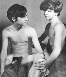 Vintage American Twinks 1 5bf2f9ae6bf00.jpg