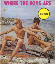 Vintage American Twinks 1 5bf2f9bdc06d3.jpg