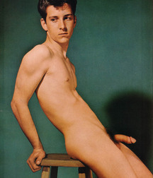 Vintage American Twinks 3 5bf31cfd037f9.jpg