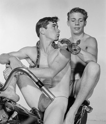 Vintage American Twinks 3 5bf31cfe63144.jpg