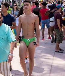 Speedo Twinkz Illustrated 5cbf3a681574f.jpg