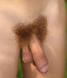 Alex - Straight Boys Porn Outdoors (High Res) 5f502ca97331a.jpg