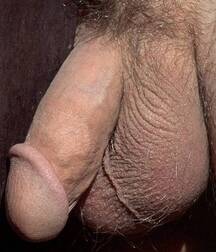 just dicks 5f75e641977f7.jpg