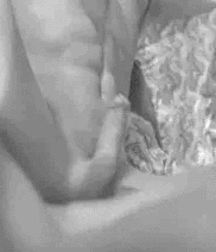 Photo's and Gifs Gay Tube 5f63960fd9b3d.gif