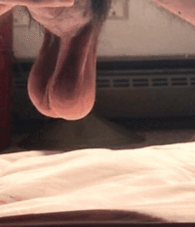 Photo's and Gifs Gay Tube 5f639636c7833.gif