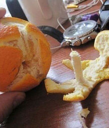 Cocks n Stuff Mix Gay Tube 5f6a67f0adae9.jpg