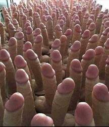 Cocks n Stuff Mix Gay Tube 5f6a6820e08bd.jpg