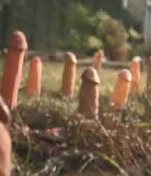 Cocks n Stuff Mix Gay Tube 5f6a68292cfb5.gif