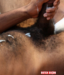 Black Daddies' Hairy Dicks Boys Porn 5f664e30c377f.jpg