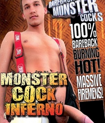 Gay Twinks Porn Tube - 224 - mixed DVD covers 5fea5a988b144.jpg