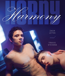 Gay Twinks Porn Tube - 224 - mixed DVD covers 5fea5c7b24a84.jpg