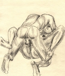 Gay Vintage Porn - 260 - mixed art and cartoons twinks 601601ca74808.jpg