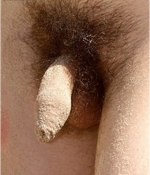 Gay Twinks Porn Twink Tube - 263 - mixed cocks 6016226576ba6.jpg
