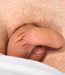 Gay Twinks Porn Twink Tube - 263 - mixed cocks 601624fc1ddb7.jpg