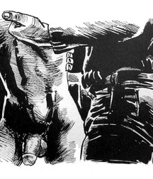 Gay Vintage Porn - 273 - mixed art work and cartoons 6021a6229bcae.jpg