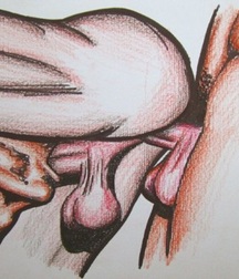 Gay Vintage Porn - 307 - mixed art and cartoons art 603ac54c3d572.jpg