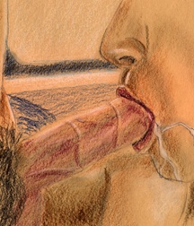 Gay Vintage Porn - 307 - mixed art and cartoons art 603ac56ff3337.jpg