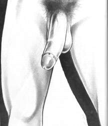 Gay Vintage Porn - 322 - mixed art and cartoons 60494d943b3bd.jpg