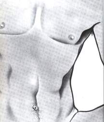 Gay Porn Illustrations - 329 - mixed art and cartoons 604beaddae6b4.jpg