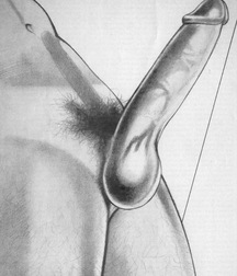 Gay Porn Illustrations - 335 - art work gay tube 60526f10c45a0.jpg