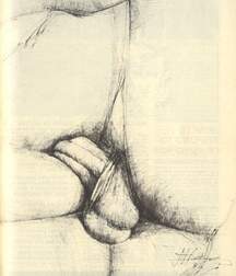 Gay Porn Illustrations - 335 - art work gay tube 6052706b723c9.jpg