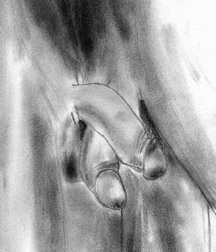 Gay Twinks Porn - 370 - cartoon mixed art work 6060f74dabf81.jpg