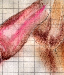 Gay Twinks Porn - 370 - cartoon mixed art work 6060f7813283f.jpg