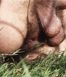 Gay Twinks Porn - 372 - mixed rear views boys 606134908478b.jpg