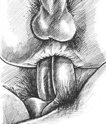 Gay Twinks Porn - 378 - mixed art, cartoons twinks 606654923a1f6.jpg