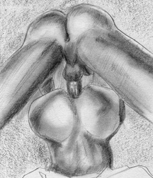 Gay Twinks Porn - 378 - mixed art, cartoons twinks 60665554e06f3.jpg