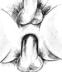 Gay Twinks Porn - 400 - mixed gay tube art work 6074af4cb2c78.jpg