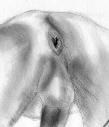 Gay Twinks Porn - 400 - mixed gay tube art work 6074afb8dd55b.jpg