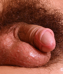 Gay Twinks Porn - 411 - mixed twink nuts 60d9d0e8b3e33.jpg