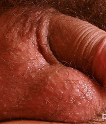 Gay Twinks Porn - 411 - mixed twink nuts 60d9d0f44b3ca.jpg