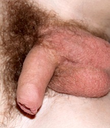 Gay Twinks Porn - 411 - mixed twink nuts 60d9d3e6d6092.jpg