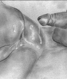 Gay Twinks Porn - 420 - shetches 615a1c9777a6e.jpg
