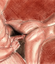 Gay Twinks Porn - drawings, sketches 615a4edd8b0dc.jpg