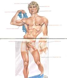 Gay Twinks Porn - 429 - mixed yaoi, cartoons, art, drawings 6162311beddbd.jpg