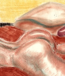 Gay Twinks Porn - twink sketches drawn 61d259a55a7cd.jpg