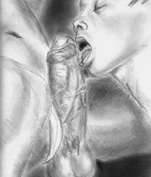 Gay Twinks Porn - twink sketches drawn 61d25a2024268.jpg
