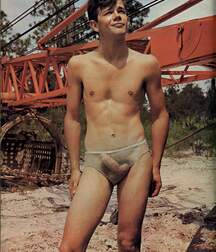 Gay Twinks Porn - mixed vintage found classic found boys 61d8a79e77fdb.jpg