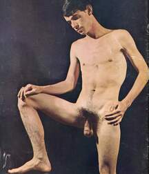 Gay Twinks Porn - mixed vintage classic golden 6214dcc2f141c.jpg
