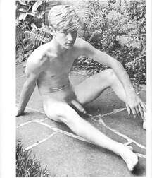 Gay Twinks Porn - mixed vintage classic golden 6214dce2c8915.jpg