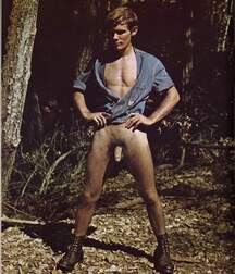 Gay Twinks Porn - mixed vintage classic golden 6214dce8f2349.jpg