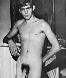 Gay Twinks Porn - mixed vintage classic golden 6214de164caa6.jpg