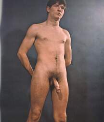 Gay Twinks Porn - mixed vintage classic golden 6214de2c8af3f.jpg