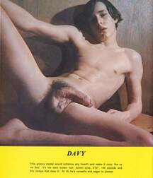 Gay Twinks Porn - mixed vintage classic golden 6214de3441263.jpg