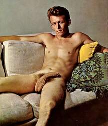 Gay Twinks Porn - mixed vintage classic golden 6214de3aa2b64.jpg